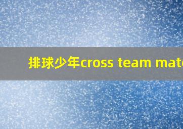 排球少年cross team match